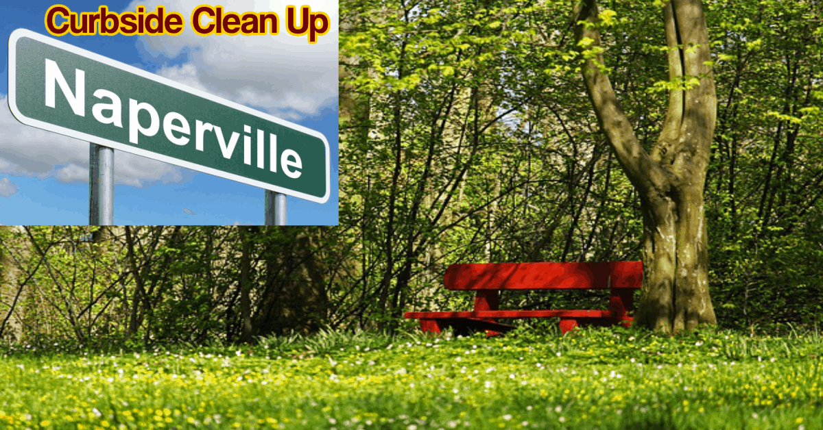 Annual Curbside Bulk Brush Collection Program Begins Week of May 13