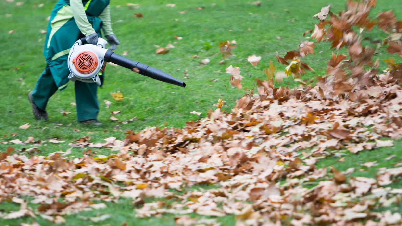 Public Works to Conduct Extra Leaf Collection Cycle Naperville Local