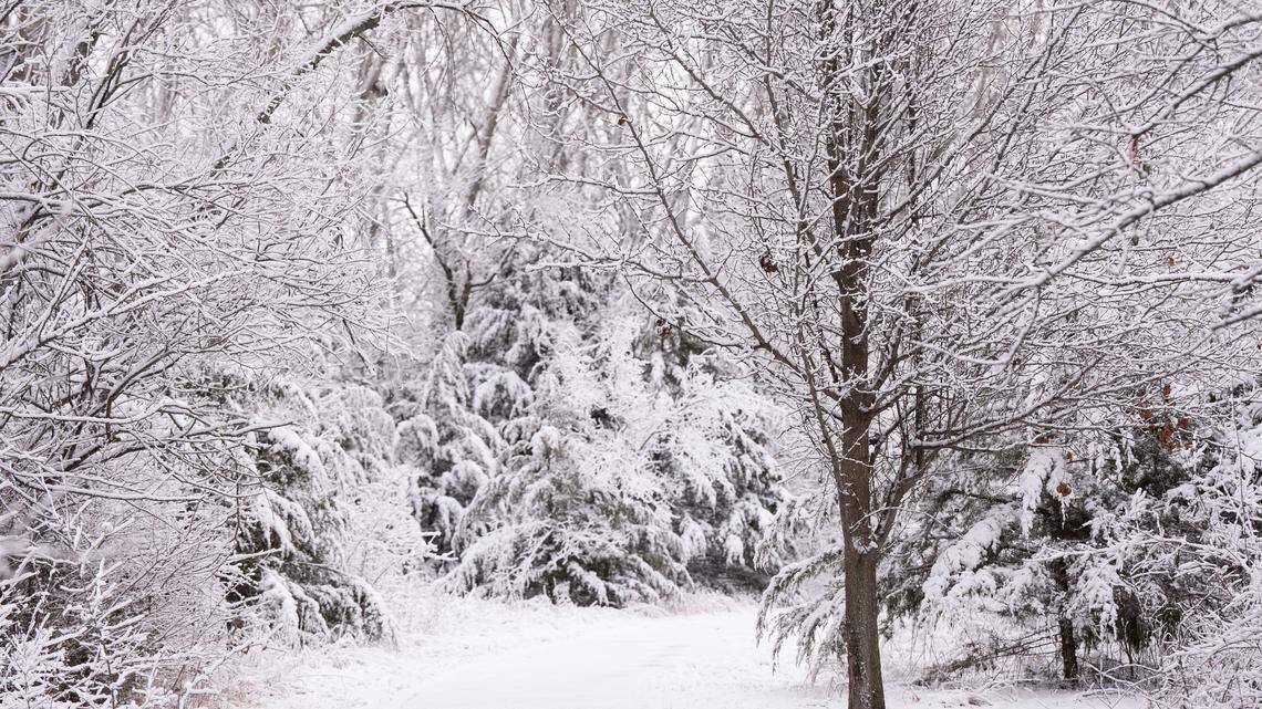 Ohio Valley Weather Outlook: Will the First Snow Arrive Before Thanksgiving?