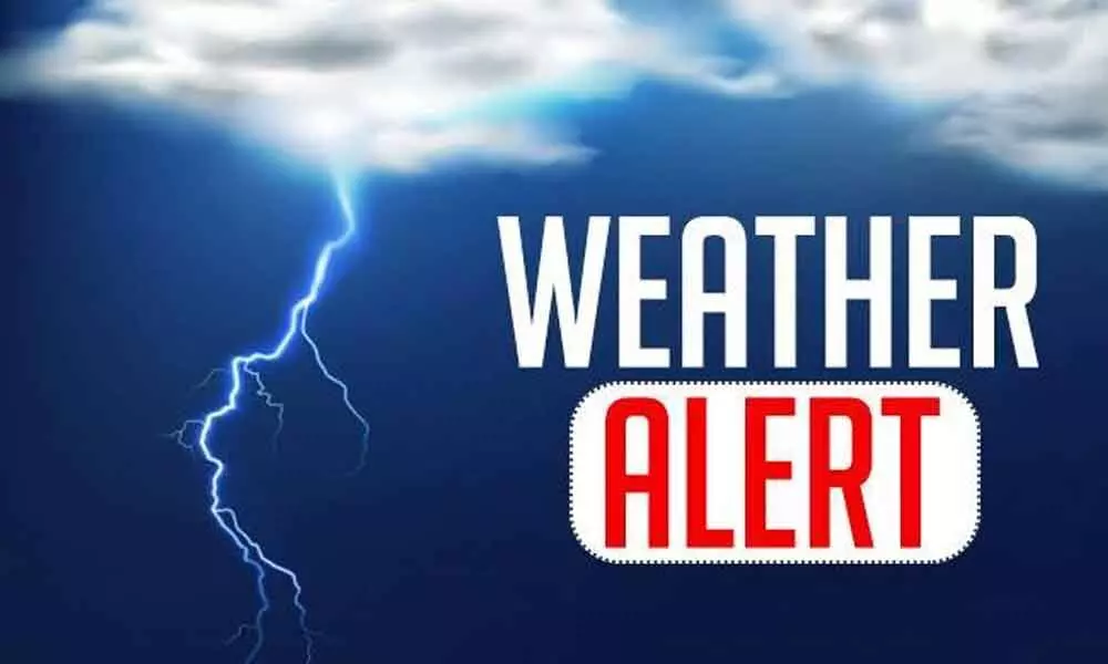 Delaware Weather Alert: Heavy Rain and 35 MPH Winds Thursday Could Dampen Travel Before Clear Skies Return for Halloween
