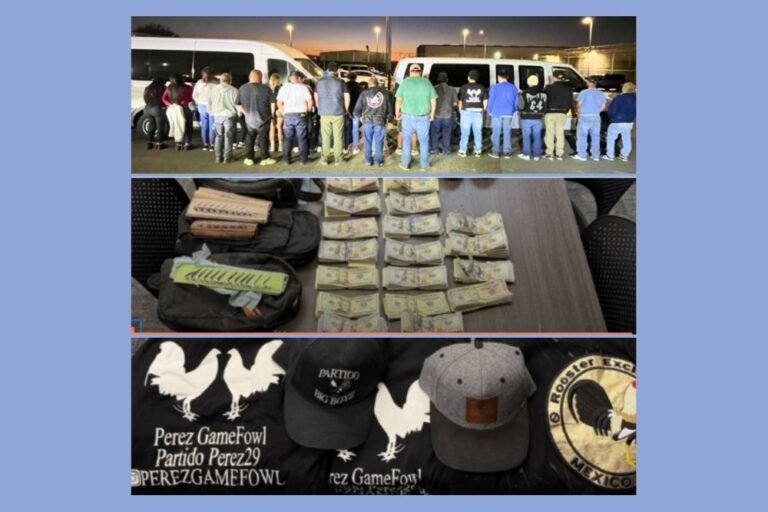 26 Arrested, Dozens of Birds Rescued in Massive Southern California Cockfighting Bust