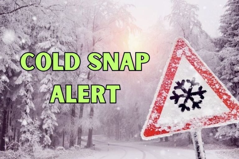 Cold Snap Alert