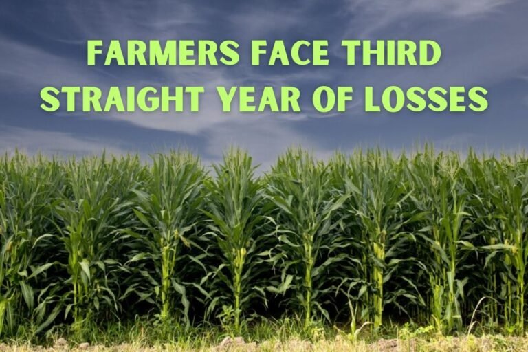 Farmers Face Third Straight Year of Losses