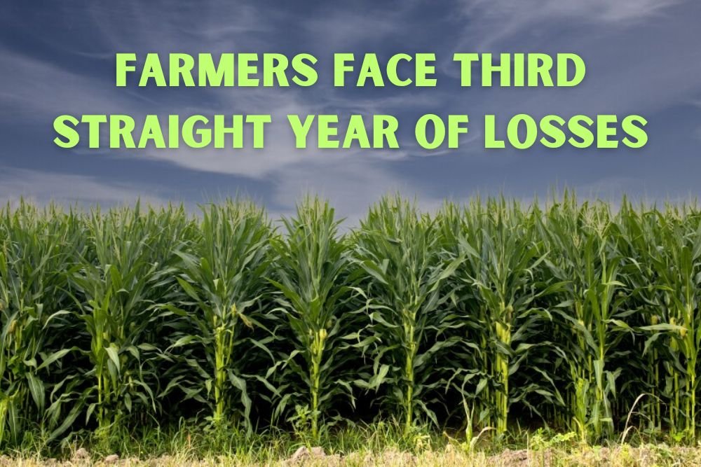 Farmers Face Third Straight Year of Losses