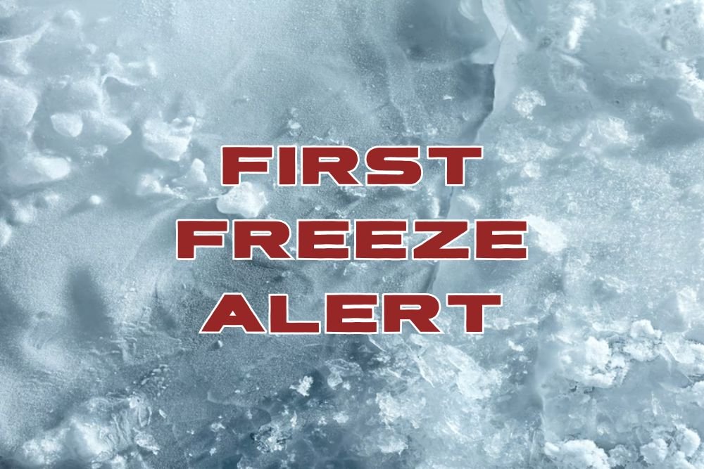 First Freeze Alert