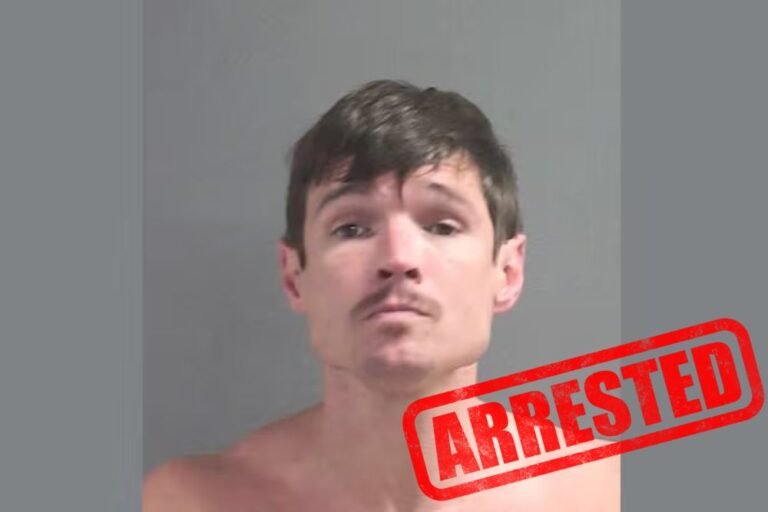 Florida Good Samaritan Carjacked at Gunpoint After Stopping to Help Man on Roadside