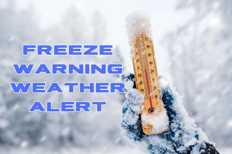 Freeze Warning Weather Alert