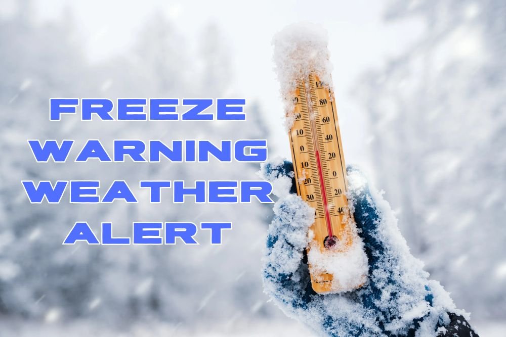 Freeze Warning Weather Alert