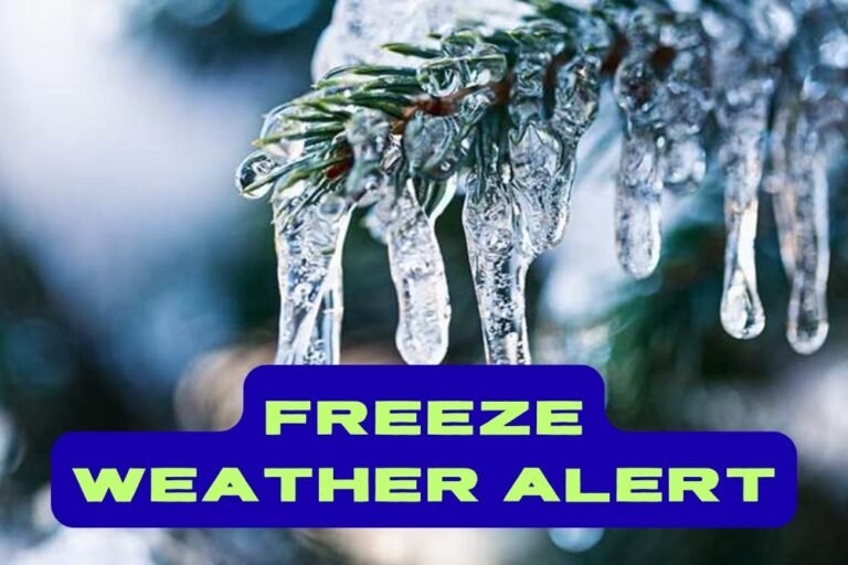 Freeze Weather Alert