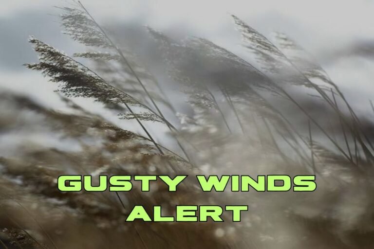 Gusty Winds Alert