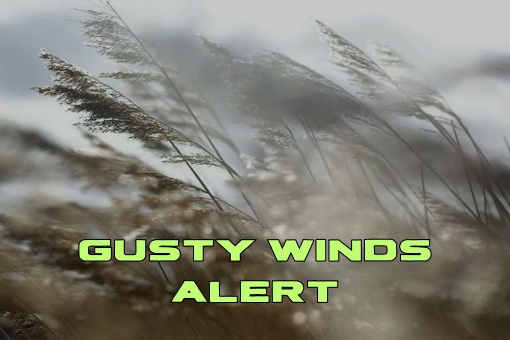 Gusty Winds Alert