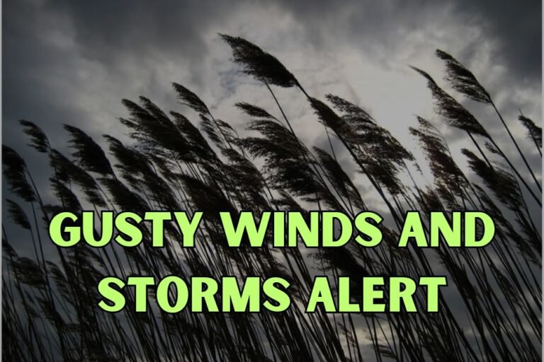 Gusty Winds And Storms Alert