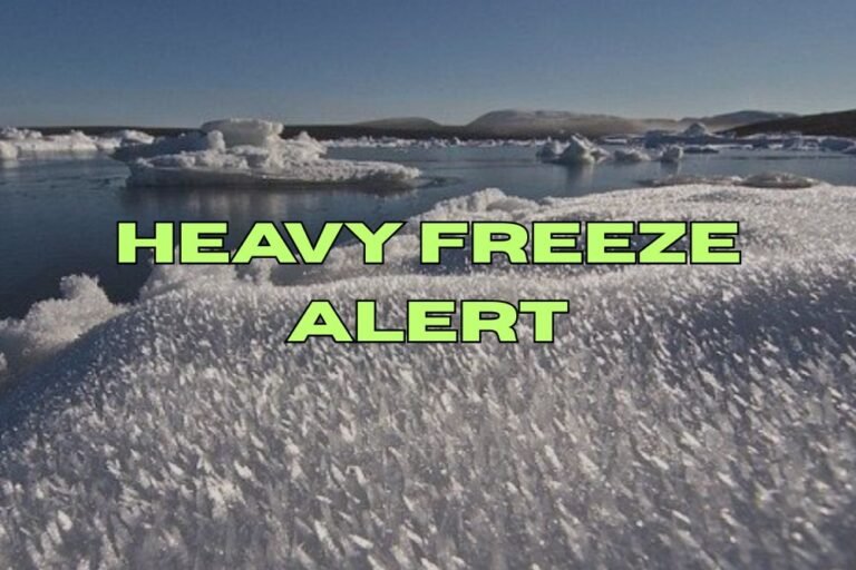 Heavy Freeze Alert