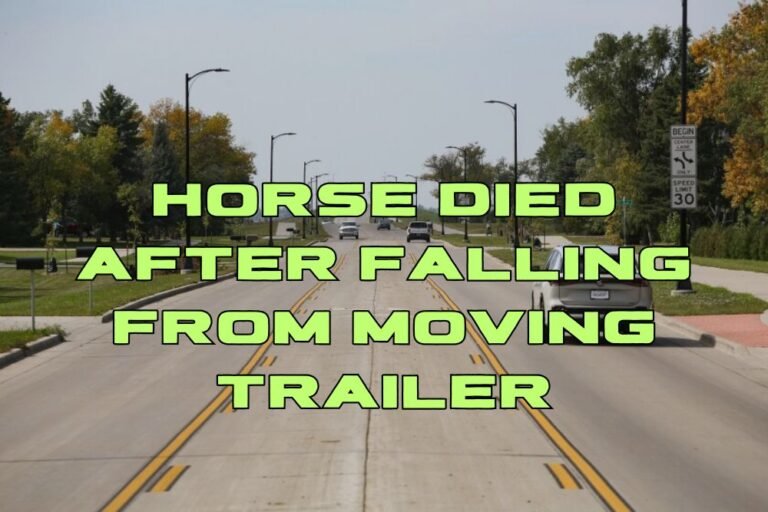 Horse died after falling from moving trailer