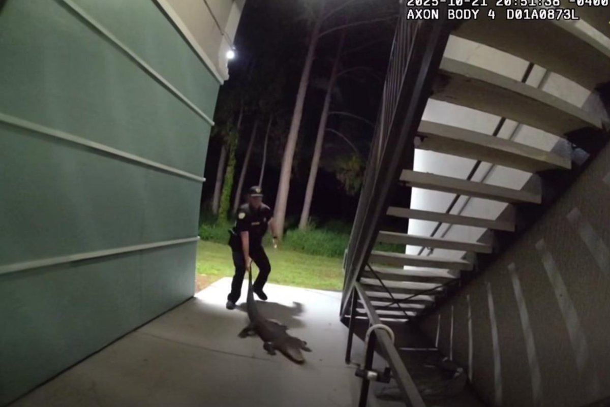 Police Remove 6-Foot Alligator Found Wandering Inside Orlando Apartment Hallway