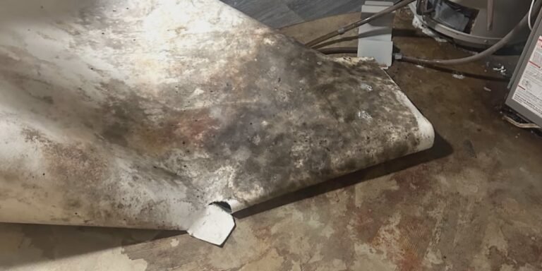 Sioux Falls Inspectors Step In After Landlord’s Silence Leaves Family Living with Mold