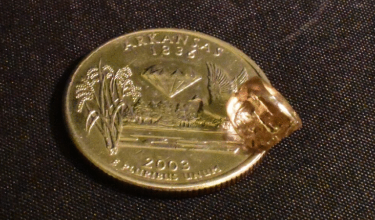 Indiana Couple Finds 2.71-Carat Diamond at Arkansas’s Crater of Diamonds State Park
