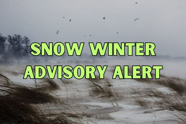 Snow Winter Advisory Alert