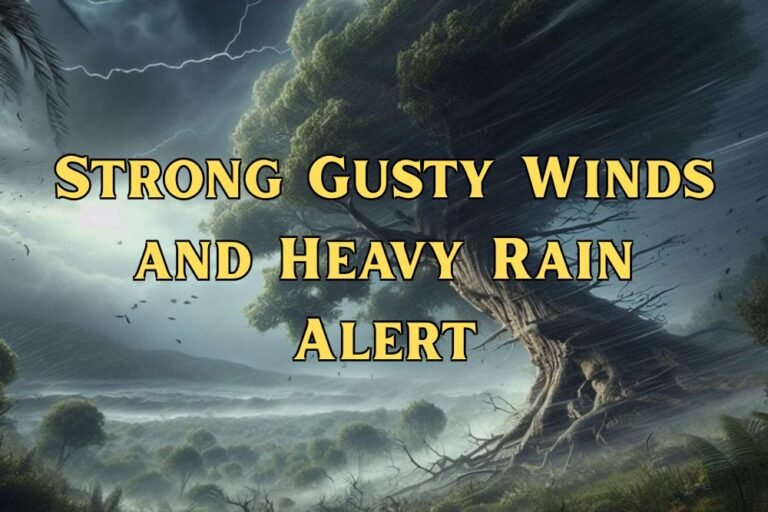 Strong Gusty Winds and Heavy Rain Alert