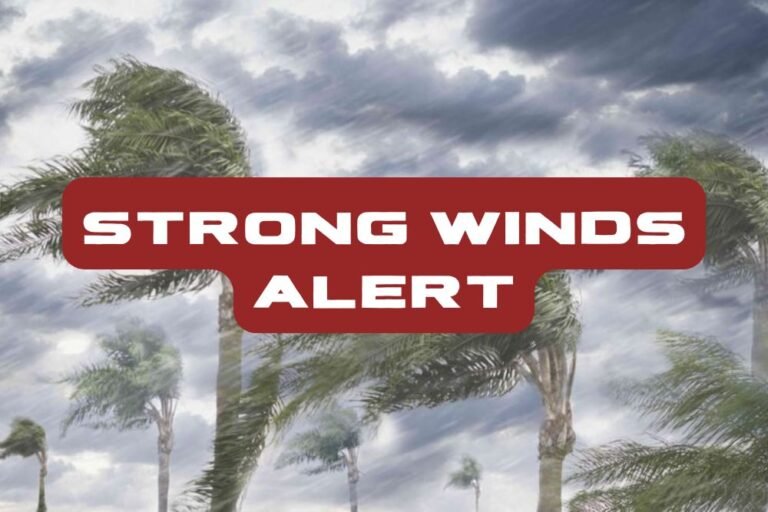 Strong Winds Alert