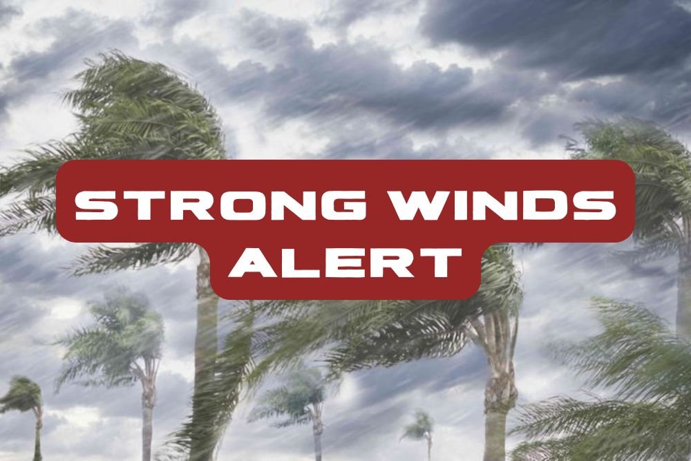 Strong Winds Alert