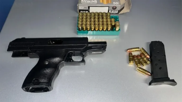 Florida Teen Arrested After Deputies Find Loaded Gun in Backpack at Spoto High School