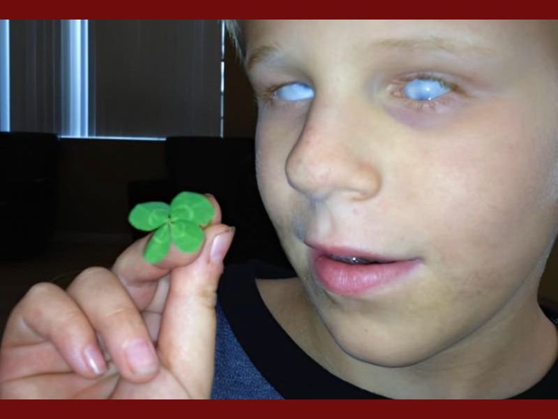 Blind Boy Finds Four-Leaf Clover by Touch, Inspiring Thousands with His Story of Determination