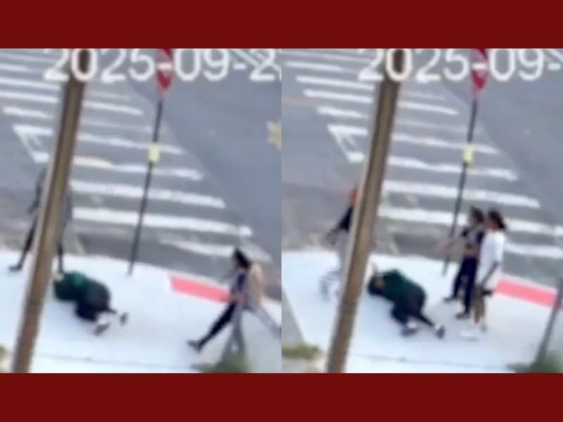 Bronx Teens Accused of Brutally Attacking 11-Year-Old Girl With Epilepsy and Her Puppy, Family Says She Now Suffers PTSD and Seizures