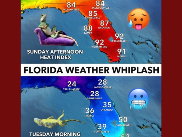 Florida Temperatures to Plunge Up to 60 Degrees as Arctic Cold Front Sweeps the State