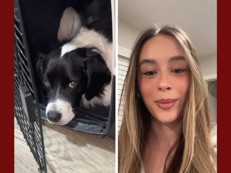 Houston Woman’s Viral Video Shows How Working From Home Changed Her Dog’s Behavior