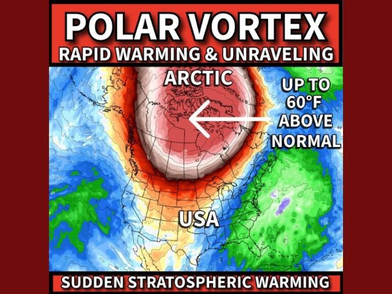 Major Sudden Stratospheric Warming Event May Disrupt the Polar Vortex, Potentially Triggering Significant U.S. Cold Outbreaks in Early December