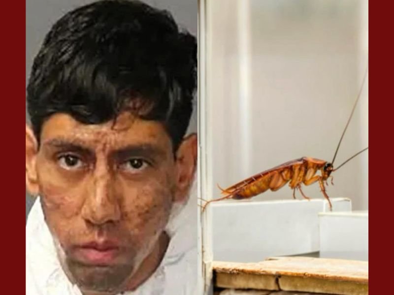 New Mexico Man Accused of Killing Two Men Claims a Cockroach Told Him to Do It, Deputies Say
