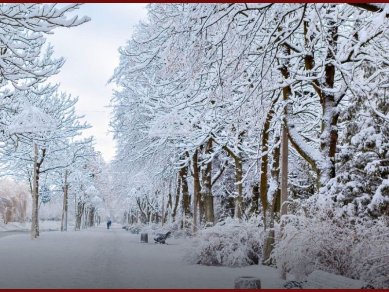 Northeast Braces for Snowiest Winter in Five Years as Forecasters Predict Major Storms for NY and NJ