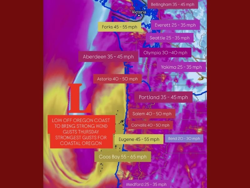 Oregon and Washington Brace for Powerful Winds Thursday as Coastal Gusts Could Exceed 60 MPH