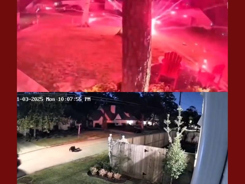 Six Houston Teens Arrested After Firing Paintball Guns and Setting Off Fireworks in Neighborhood Prank