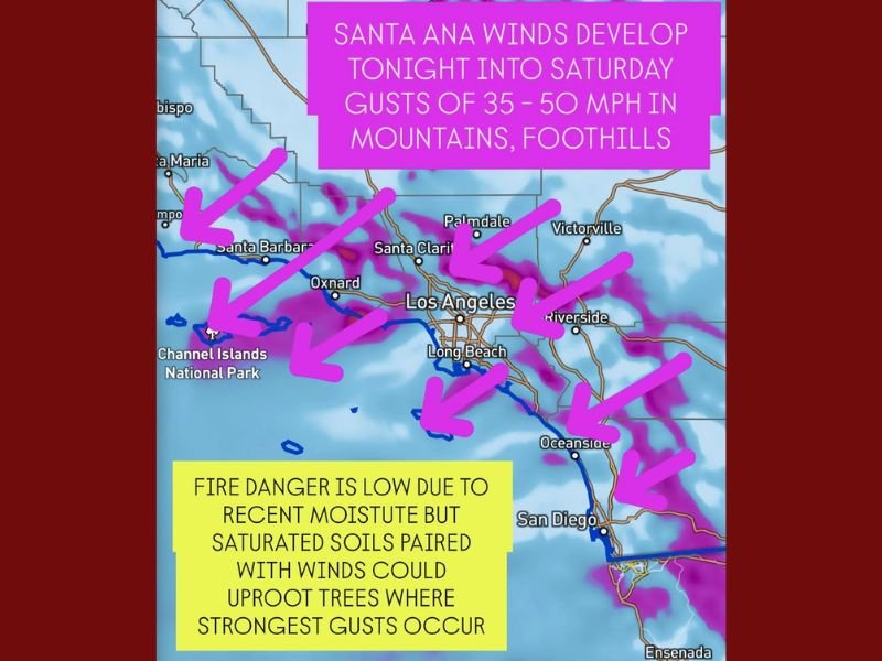Southern California to See Strong Santa Ana Winds Friday Night, Gusts Reaching 50 MPH Could Uproot Trees