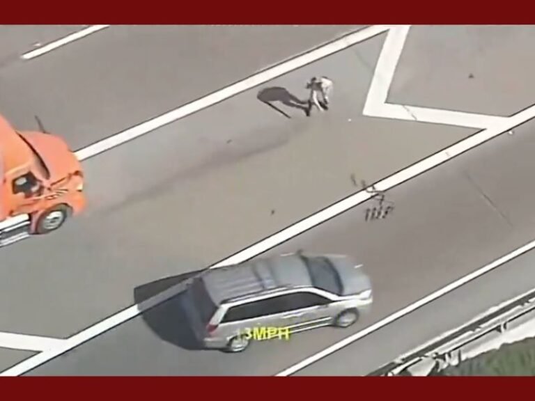 Stolen Van Leads California Highway Patrol on High-Speed Chase to Mexican Border — Suspect Escapes After Spike Strips Fail