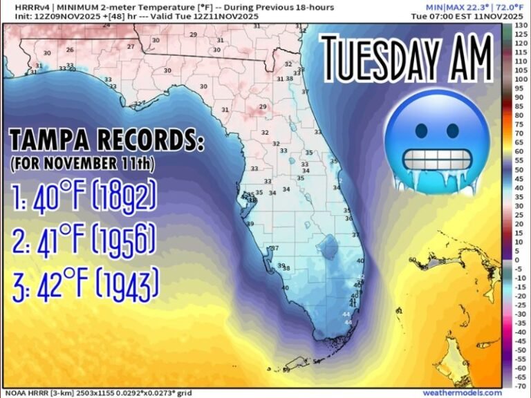 Tampa Could Break 130-Year-Old Cold Record as Florida Braces for Near-Freezing Temperatures