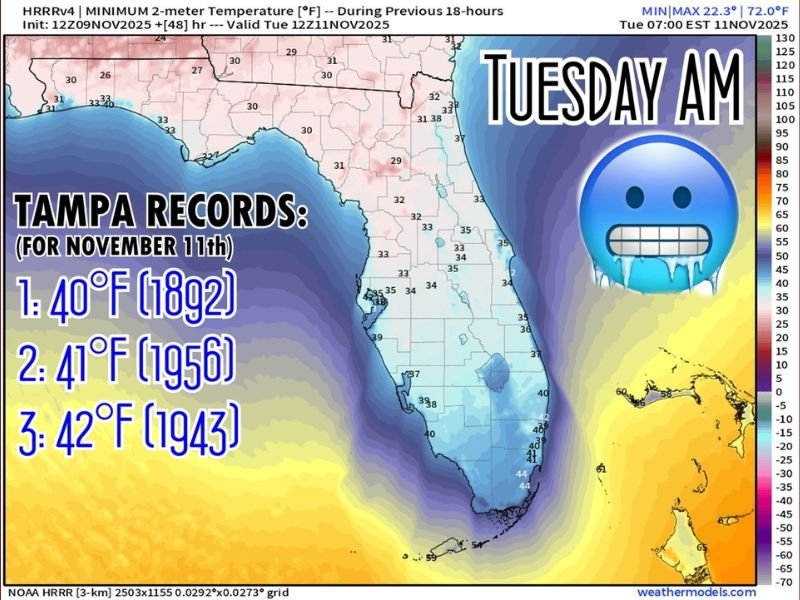 Tampa Could Break 130-Year-Old Cold Record as Florida Braces for Near-Freezing Temperatures