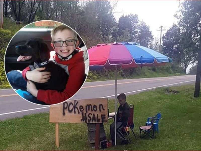 Virginia Boy Sells Pokémon Cards to Pay for His Dog’s Life-Saving Surgery — Community Raises $19,500 in Heartwarming Turn