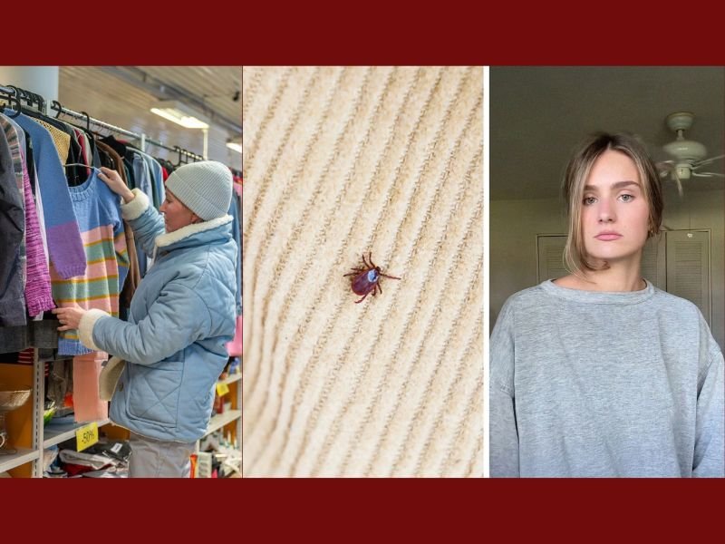 ‘If Only I Could Go Back In Time And Shake Her’: Woman’s Thrifting Trip Turns Into a Bedbug Nightmare
