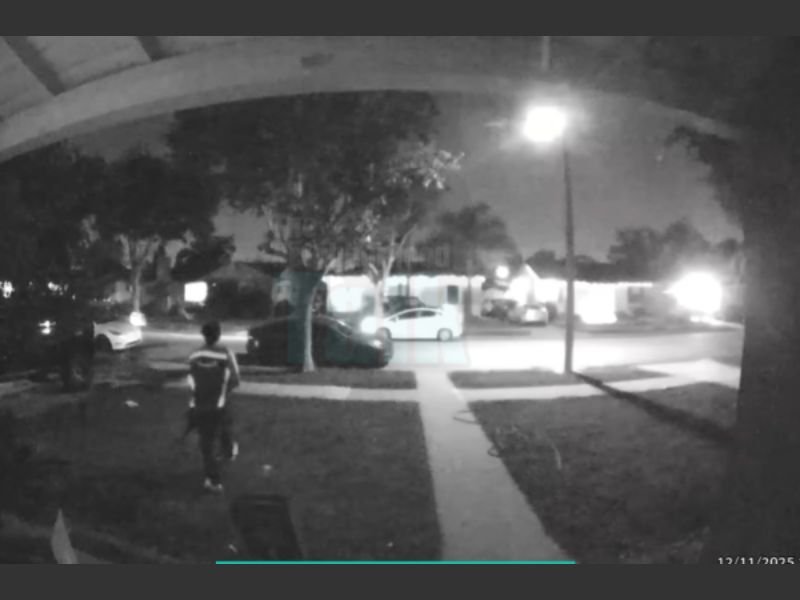 California Woman Says Amazon Delivery Driver Stole Her Cat After Dropping Off Package, Ring Video Appears to Show