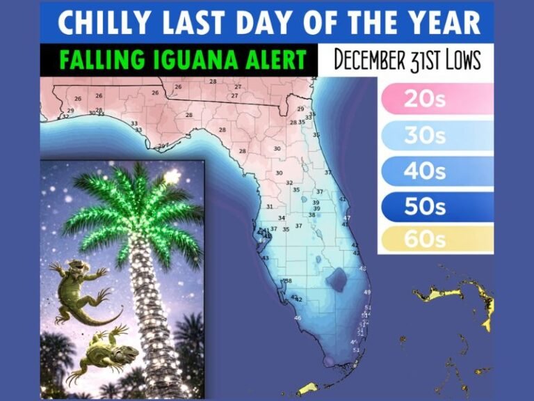 Florida Braces for Freezing Temperatures on December 31 as ‘Falling Iguana’ Risk Increases Across the State