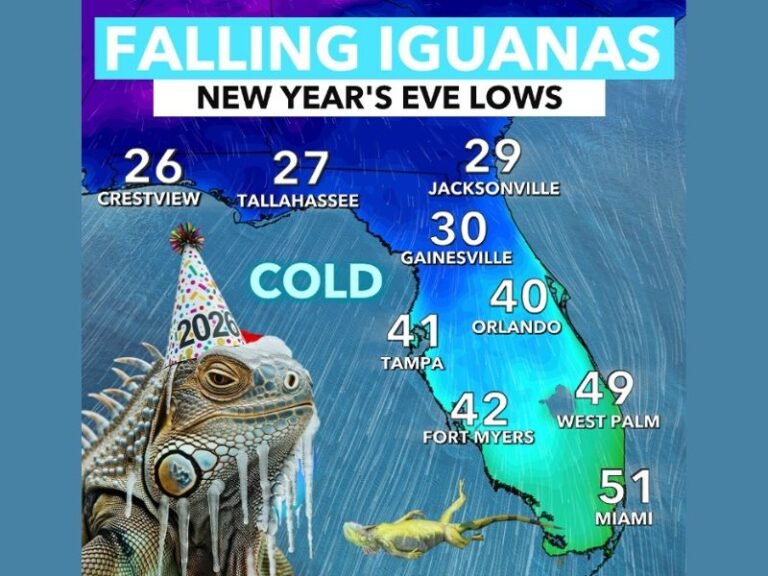 Florida Braces for New Year’s Eve Arctic Blast With Overnight Lows in the 20s–40s and Risk of “Falling Iguanas,” Forecasters Warn