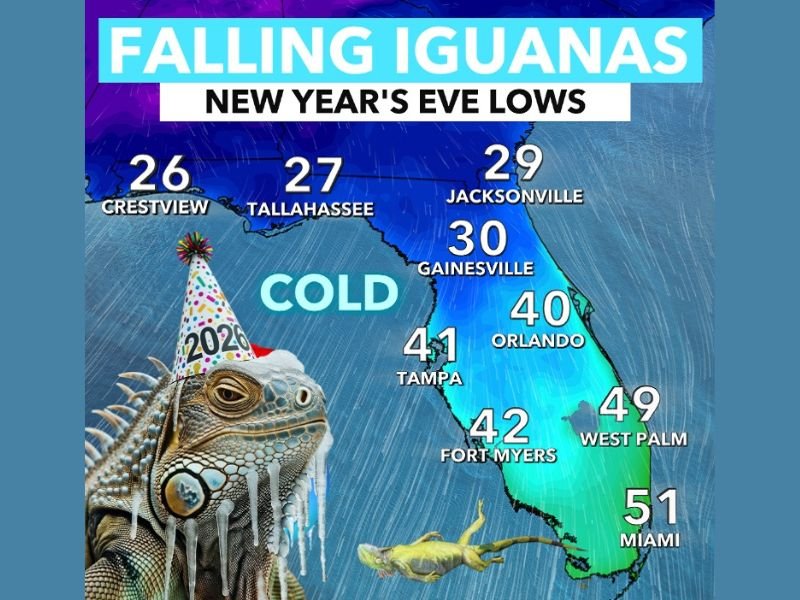 Florida Braces for New Year’s Eve Arctic Blast With Overnight Lows in the 20s–40s and Risk of “Falling Iguanas,” Forecasters Warn