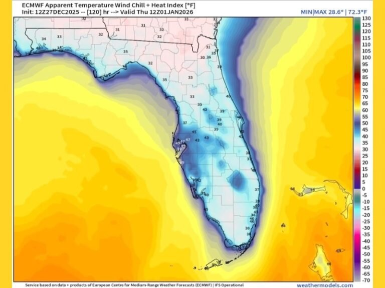 Florida Braces for Unusually Cold New Year’s Morning as Wind Chills Drop Into the 30s Across the Peninsula