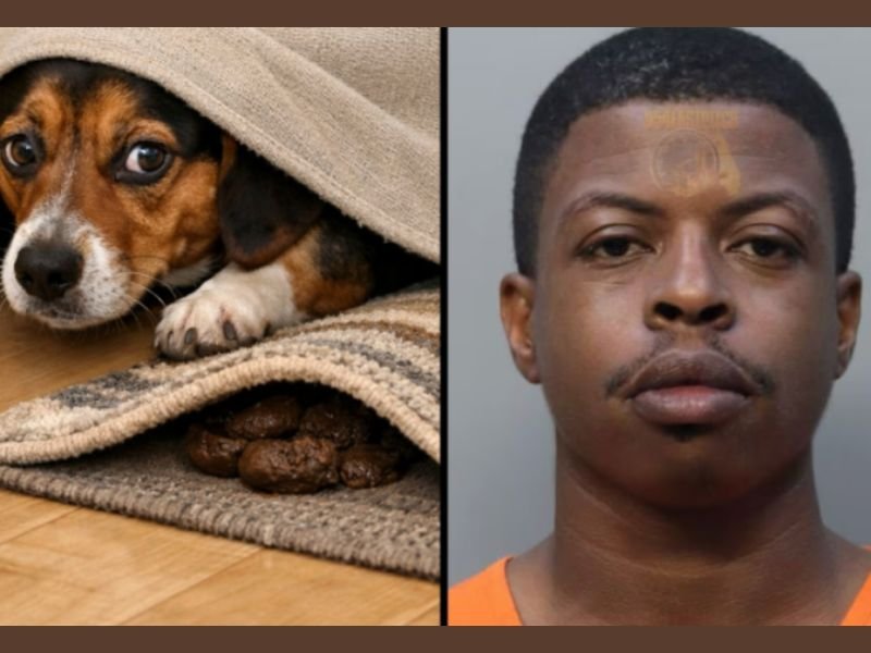 Florida Man Accused of Fatally Shooting Ex-Girlfriend’s Father After Dispute Over Dog Inside the Home