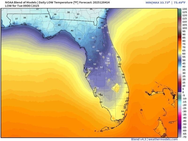 Florida Temperatures to Dip Into the 30s and 50s Next Week as Cooler Air Returns Across the State