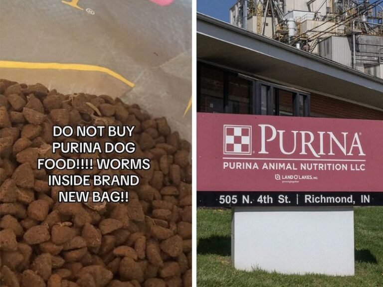 Pet Owner in Michigan Says She Found Live Worms and Webs Inside Sealed Bag of Purina Pro Plan Dog Food