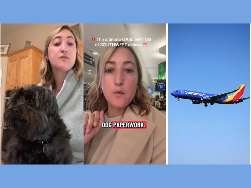 San Diego Woman With Service Dog Says Southwest Airlines ‘Gaslit’ Her and Charged $150 After Falsely Claiming Her Dog Had an Accident at Check-In